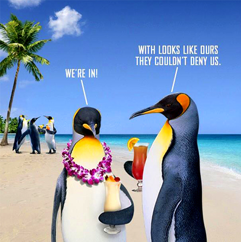 Have more fun when you become an Island Insider at Bahama Breeze