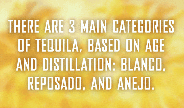 Be a Tequila Diva