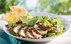 chicken-tostada-salad146x90