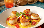 Jumbo Sea Scallops seafood recipe from Bahama Breeze