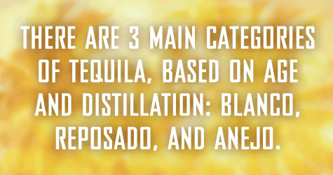 Be a tequila diva