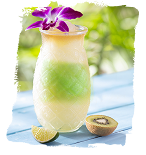 Frozen Kiwi-Melon Margarita